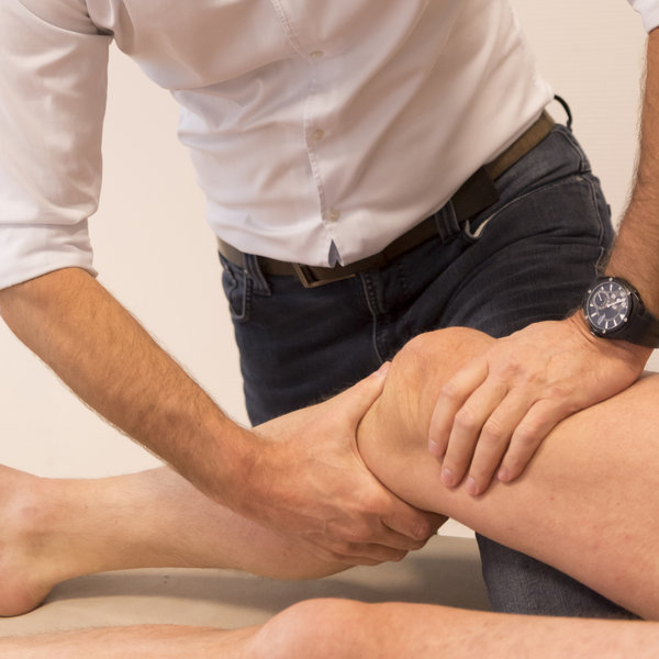 Zo kwam Maurits sterker terug Afbeelding