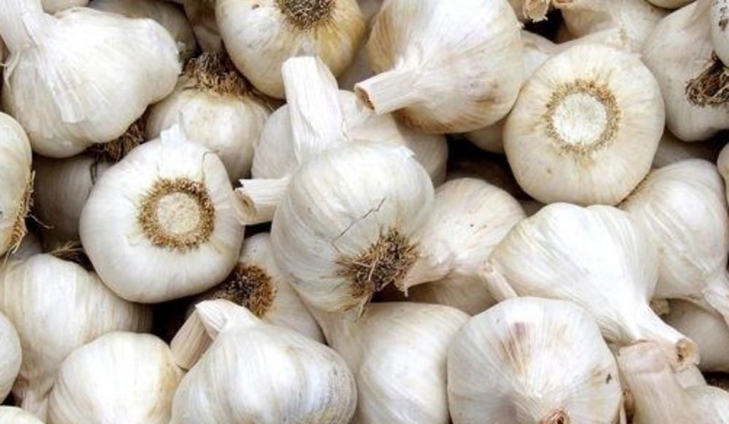 Recept van de maand juni Foto